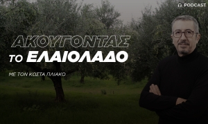 Ακούγοντας το ελληνικό ελαιόλαδο