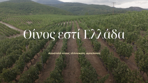 Οίνος εστί Ελλάδα. Το ελληνικό κρασί πίσω από τον μύθο
